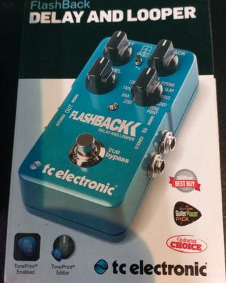 tc electronic FLASHBACK delay looper