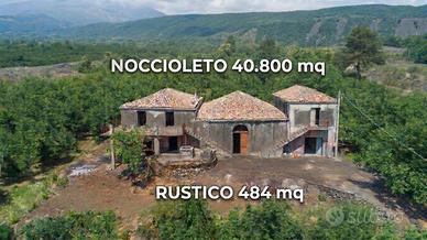 Tenuta - Mascali