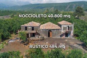 Tenuta - Mascali