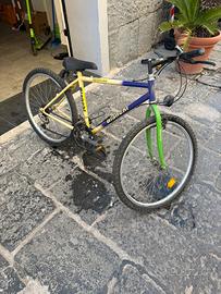 Bicicletta BIANCHI