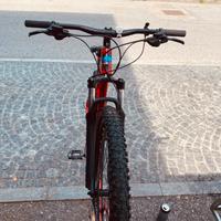 Bicicletta moumtain bike