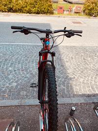 Bicicletta moumtain bike