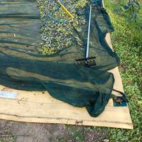 lattine 5 litri con olio pugliese 2025