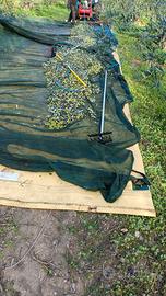 lattine 5 litri con olio pugliese 2025