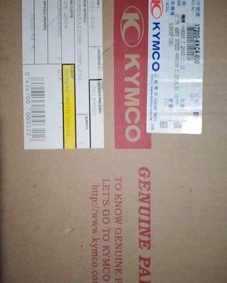 Veglia digitale per Kymco  Gran Dink  250