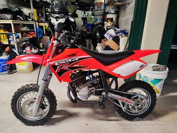 minicross restaurata