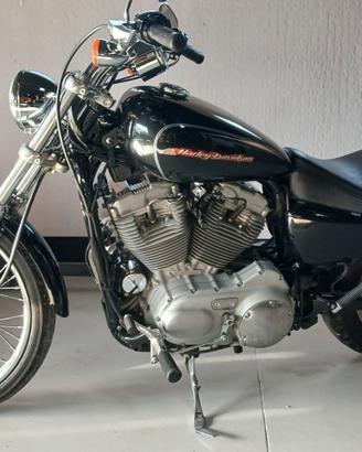 HARLEY DAVIDSON SPORSTER XL883C
