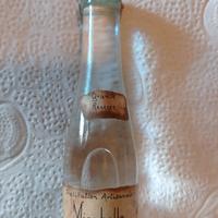 Mignon da collezione Acquavite Mirabelle