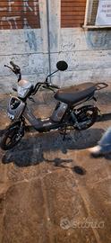 Bicicletta elettrica 