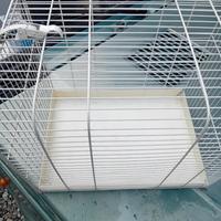 trasportino per gatti o piccoli cani 