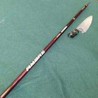 Bolognese Veret Ambre