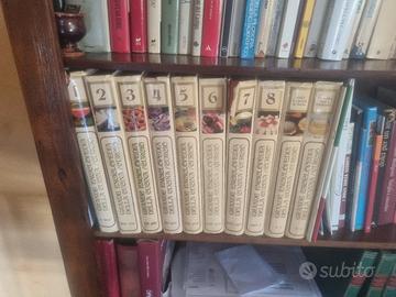 Grande Enciclopedia della Cucina Fabbri Curcio