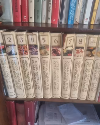 Grande Enciclopedia della Cucina Fabbri Curcio