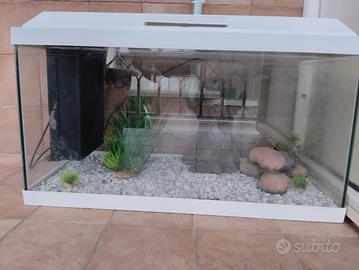 acquario Genius 60 