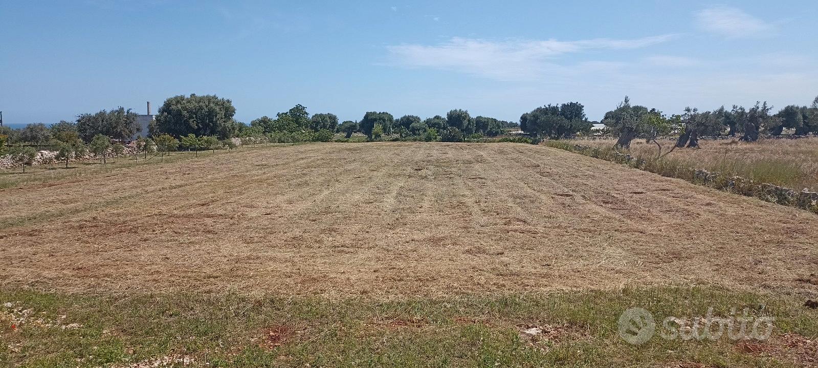 Terreno con progetto approvato a Polignano a Mare - View 3
