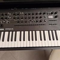 KORG minilogue xd