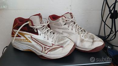 Mizuno volley