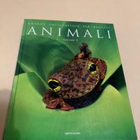 Animali 1