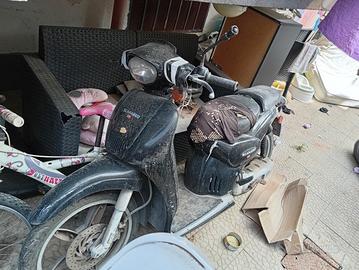Aprilia scarabeo 50