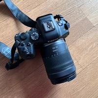 Canon R6