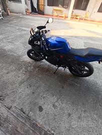  yamaha  TZR 50
