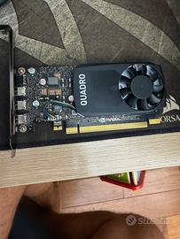 NVIDIA Quadro P400 2GB  + 2 adattatori Mini DP