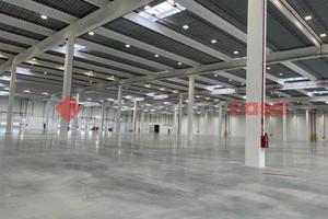 Capannone Industriale Anagni [Cod. rif 3263459ACG]