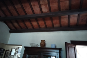 Casa a solo con giardino e dependance