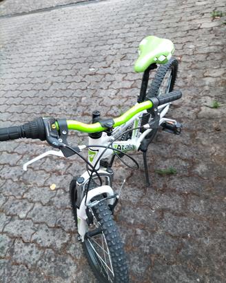 bicicletta