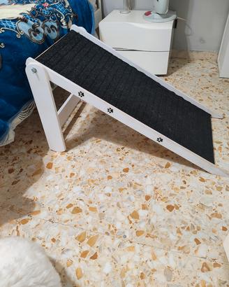 Scala per cani