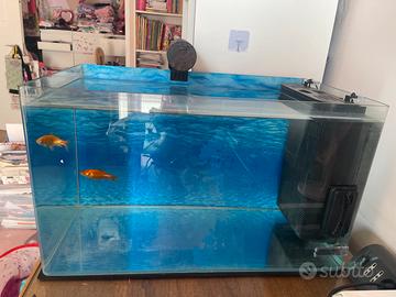 Acquario 80 litri