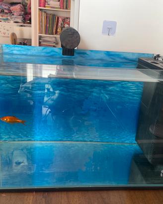 Acquario 80 litri