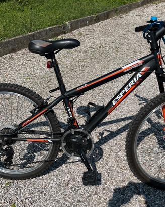 Bicicletta MTB