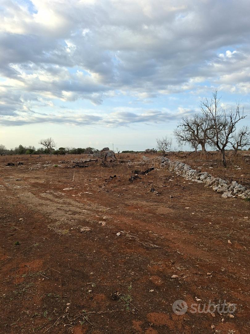 Terreno agricolo località Mascarane - Vista 2