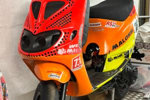 Piaggio zip malossi