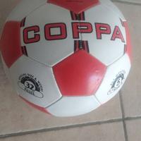 Pallone da calcio 