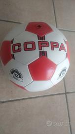 Pallone da calcio 