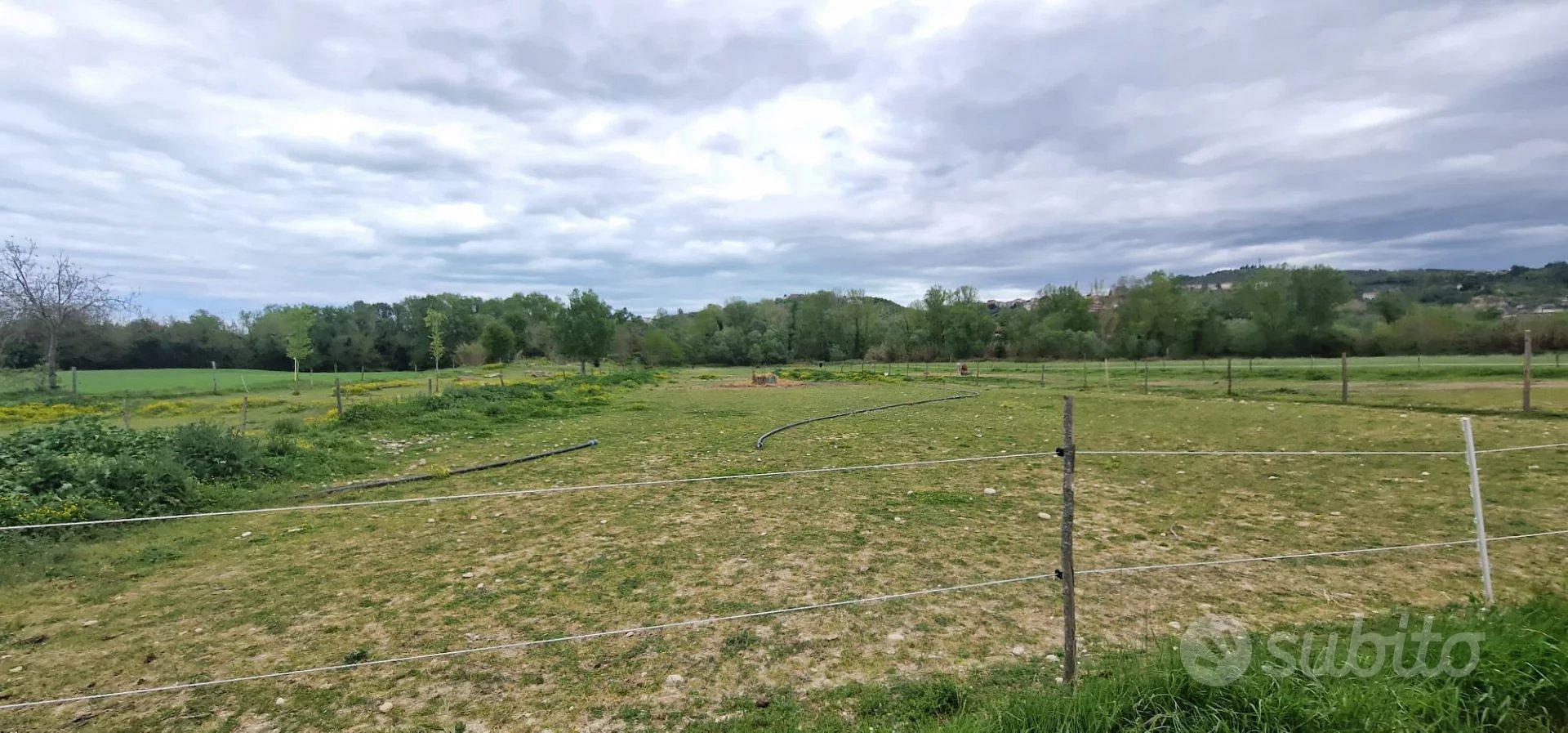 TERRENO AGRICOLO CONGIUNTI - Altro