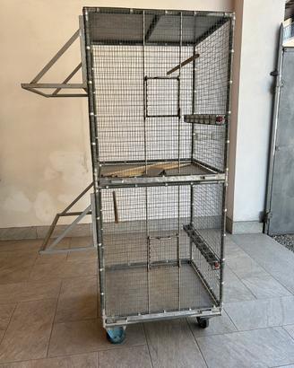 Gabbia per uccelli