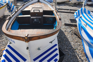 Gozzo Patrone entrobordo