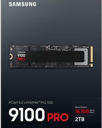 SAMSUNG 2T 9100 PRO