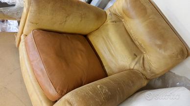 FRAU poltrona (Spedita)