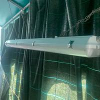 Plafoniera neon IP65 Impermeabile