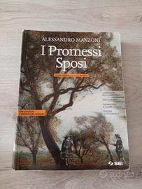 I Promessi Sposi 