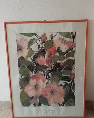 Stampa incorniciata - ibiscus di Jenni Christensen