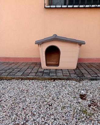Cuccia per cani