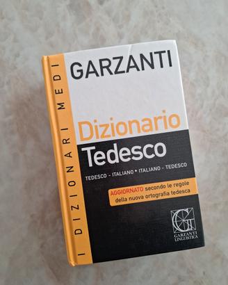 Set 2 Dizionari Tedesco 