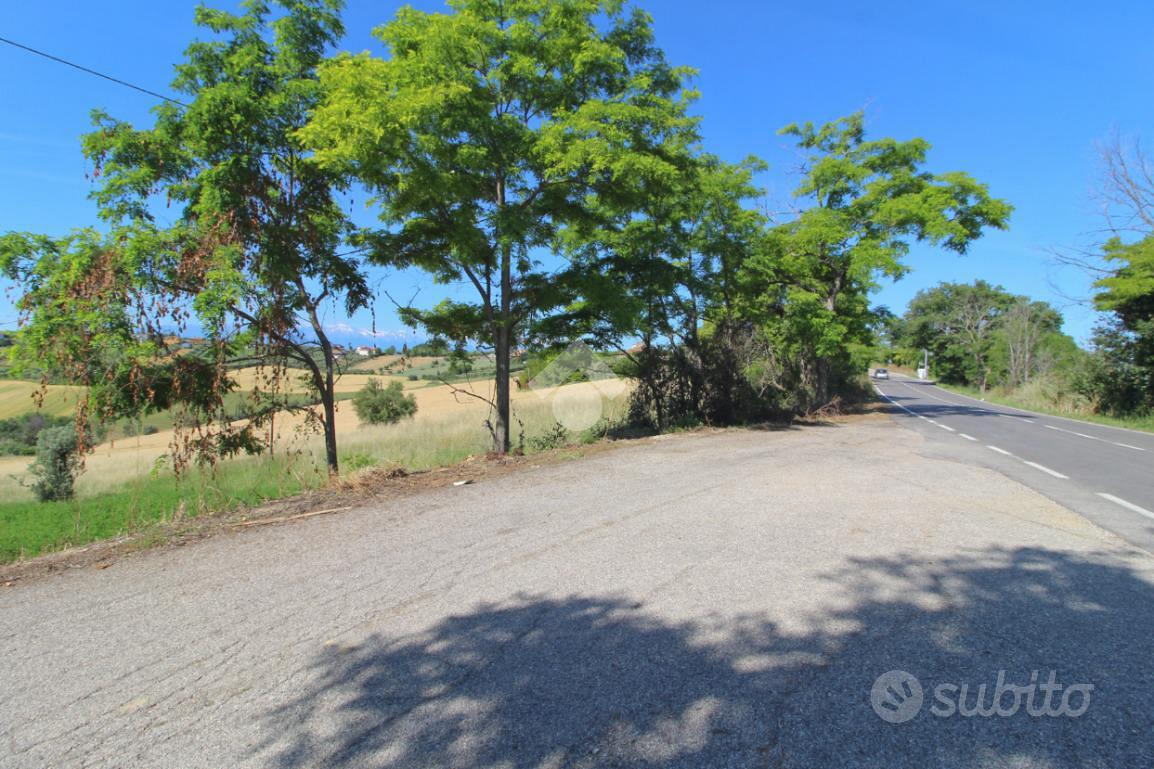 TER. AGRICOLO A MOSCIANO SANT'ANGELO - Vista 6