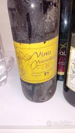 Bottiglia di visciolata