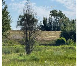 Terreno Agricolo Borgo Mantovano [A4276471]